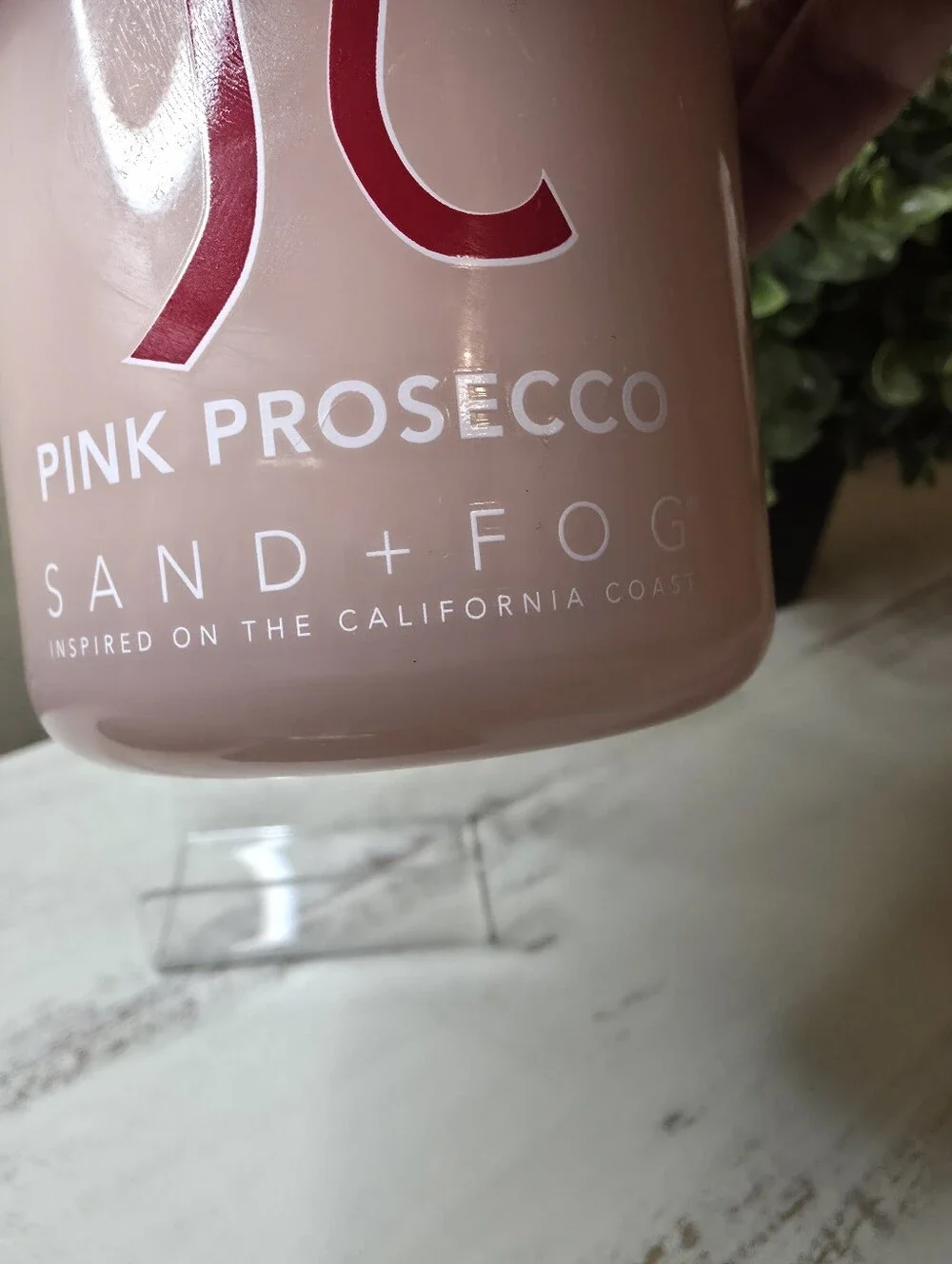 Sand + Fog enjoy bright